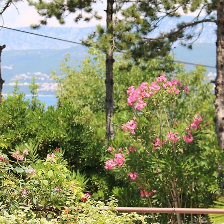 Apartments Grskovic G. Jesenovica ชิโล ภายนอก รูปภาพ